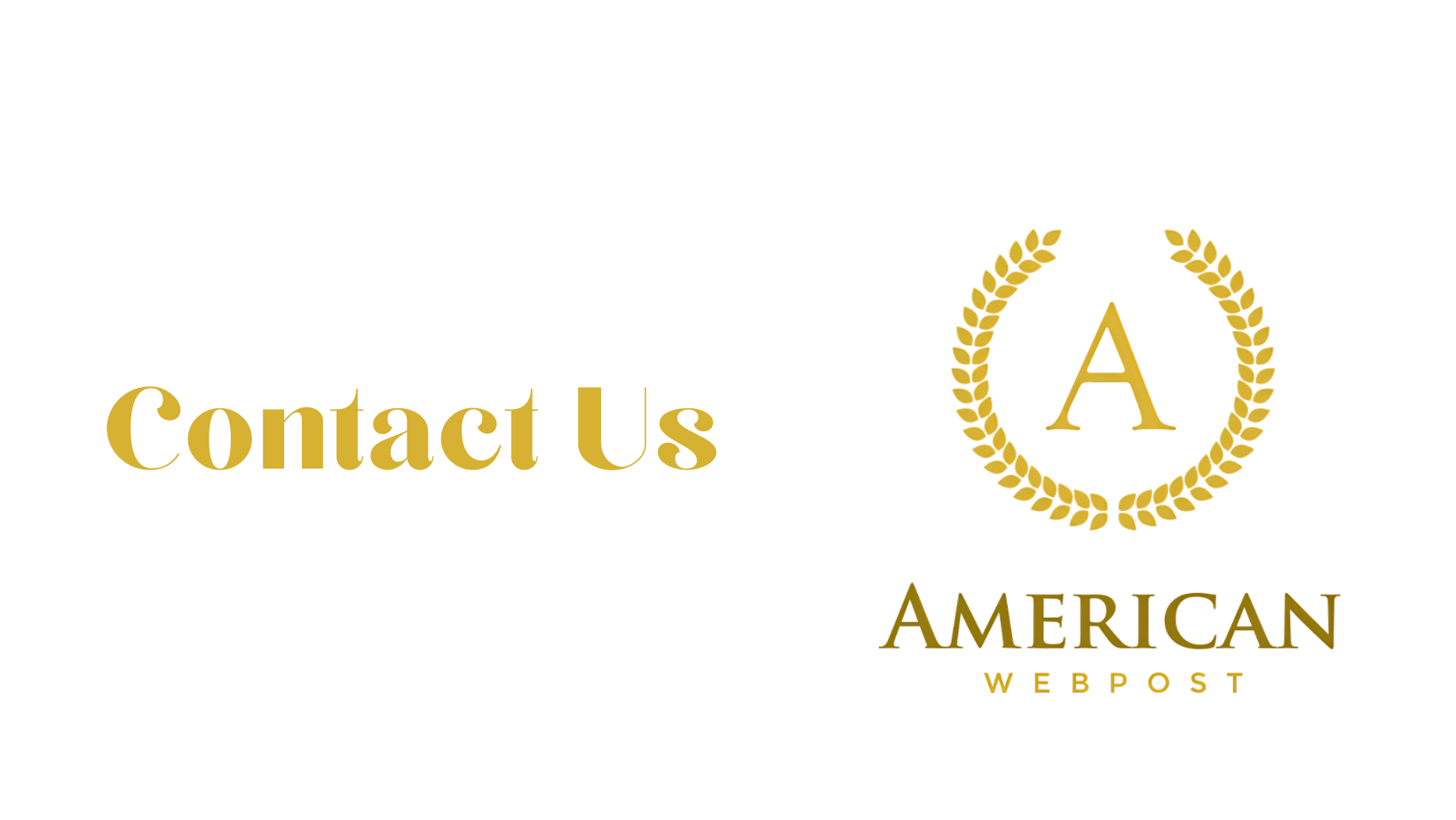 American Webpost-Contact Us